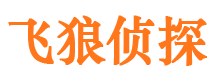 屏山外遇调查取证